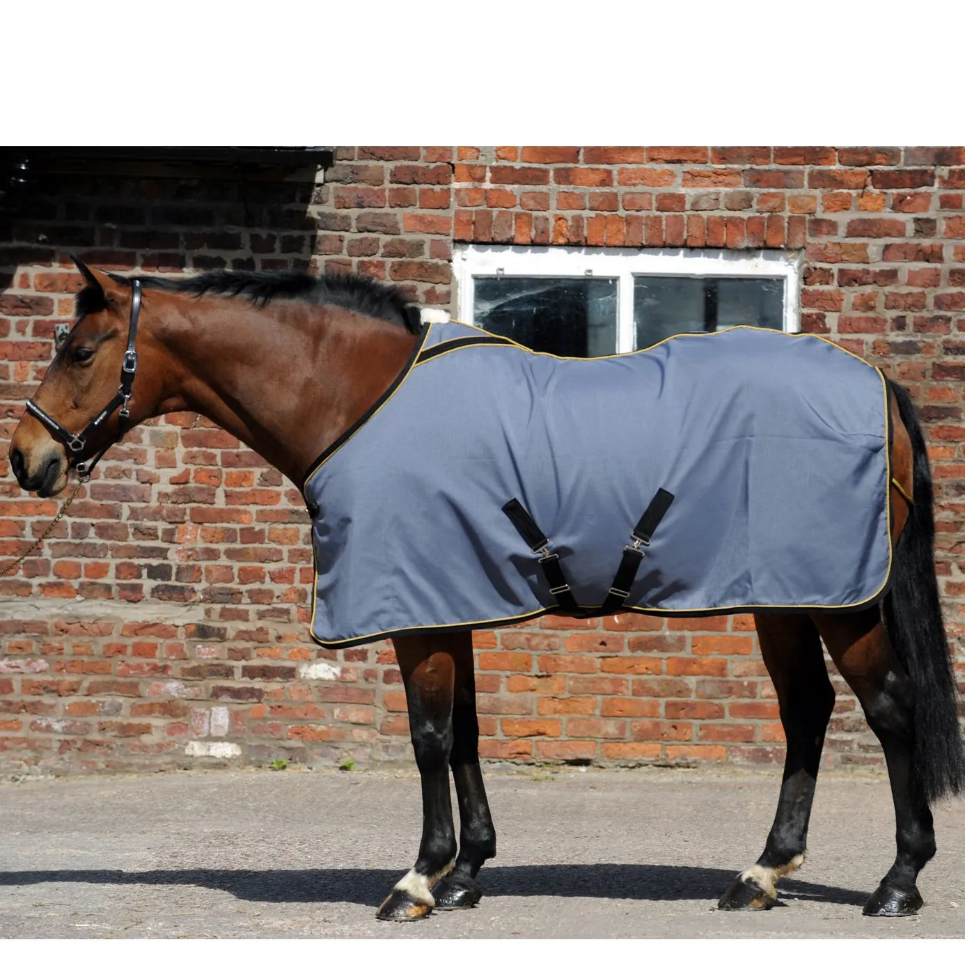 Equiport Summer Stable Rug